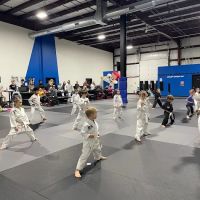 LVLUP Martial Arts - Verona ico