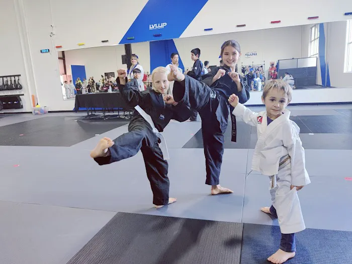 LVLUP Martial Arts - Verona Picture 6