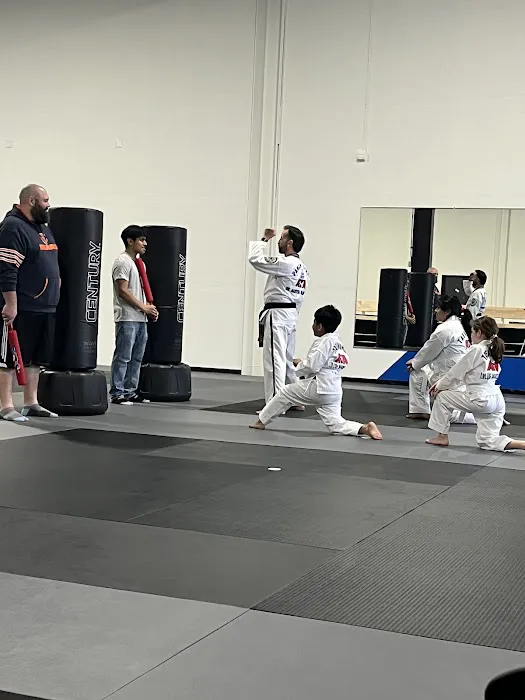 LVLUP Martial Arts - Verona Picture 9