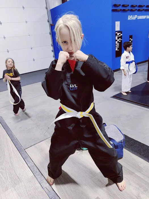LVLUP Martial Arts - Verona Picture 7