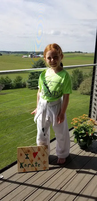Infinity Martial Arts Waunakee Picture 1