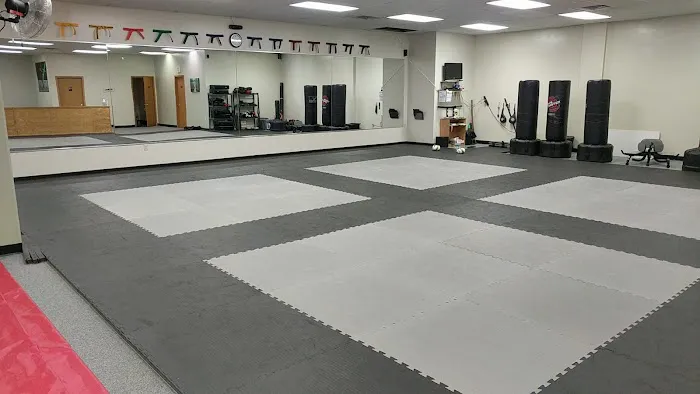 Infinity Martial Arts Waunakee Picture 8