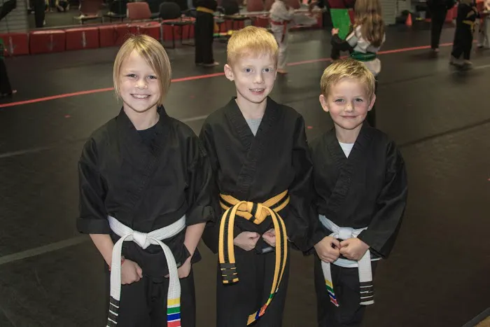 Midwest Professional Karate LLC Picture 1