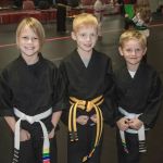 Midwest Professional Karate LLC