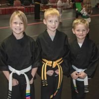 Midwest Professional Karate LLC ico