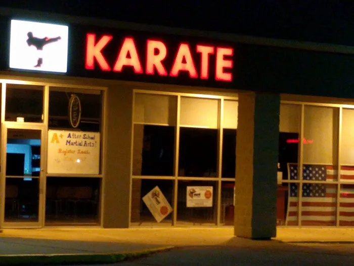 Midwest Professional Karate LLC Picture 3
