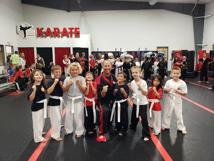 Midwest Professional Karate LLC Picture 6
