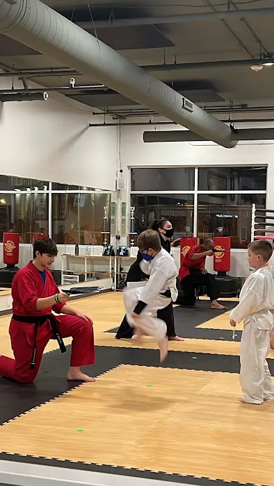 Touchstone Karate Academy-Sun Prairie Picture 4