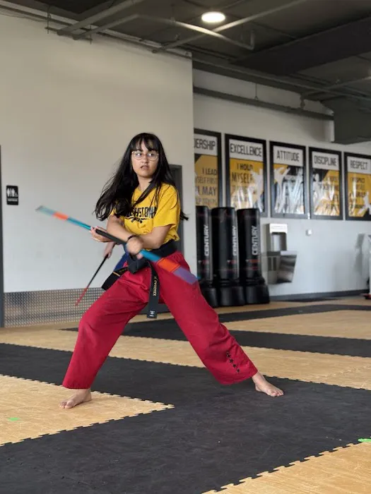 Touchstone Karate Academy-Sun Prairie Picture 10