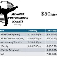Midwest Professional Karate ico