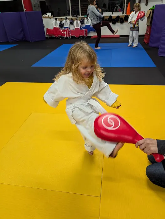 Three Treasures Martial Arts Picture 3