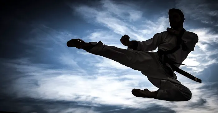 Byeonhwa Tang Soo Do at PAC Picture 1