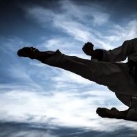 Byeonhwa Tang Soo Do at PAC ico