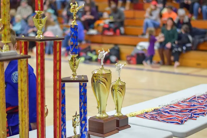 K-TAEKWONDO & MARTIAL ARTS FORT ATKINSON Picture 7