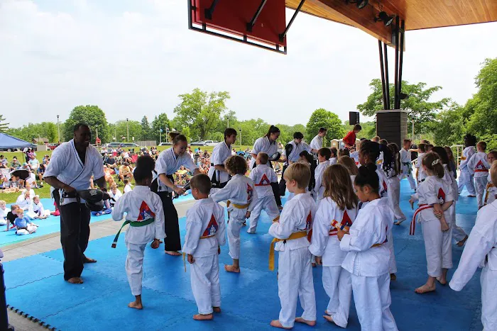 Karate America Picture 2