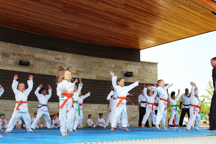 Karate America Picture 3