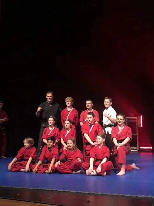 Karate America Picture 4