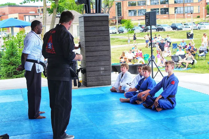 Karate America Picture 6