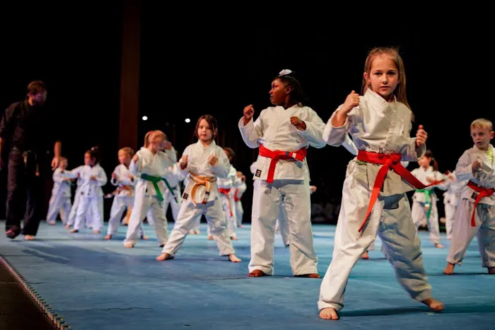 Karate America Picture 5