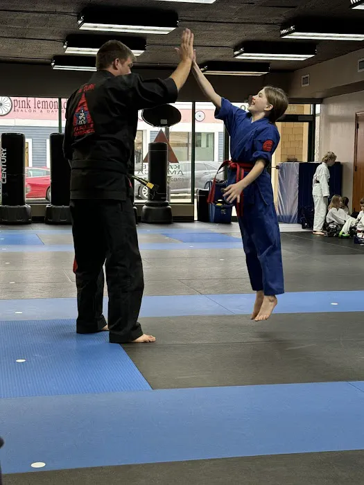 Karate America Picture 9