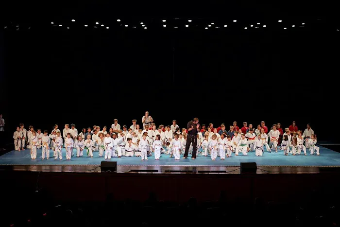 Karate America Picture 7