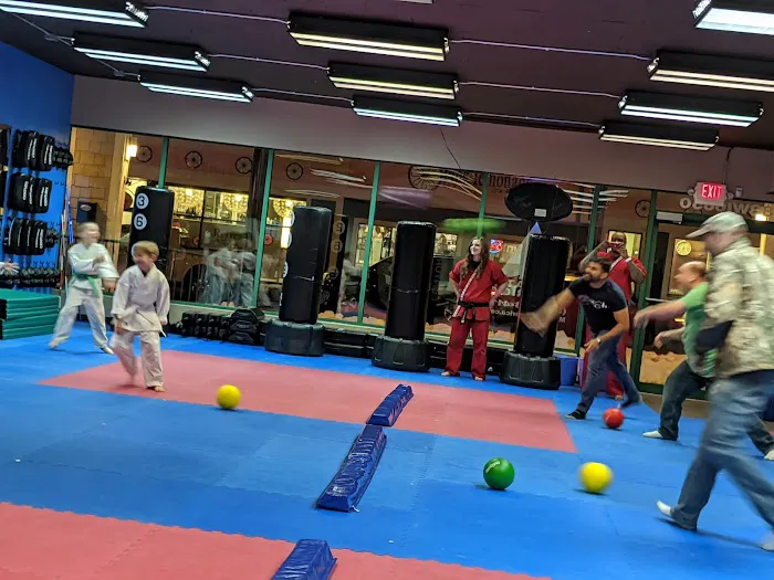Karate America Picture 10