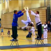 Cho's Martial Arts ico
