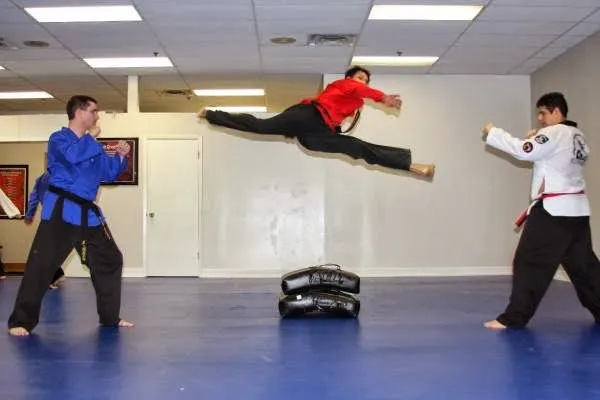 Cho's Martial Arts Picture 3
