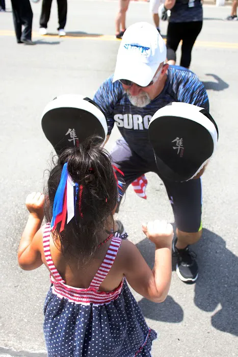 Surge Martial Arts Picture 2