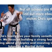 Cho's Martial Arts ico