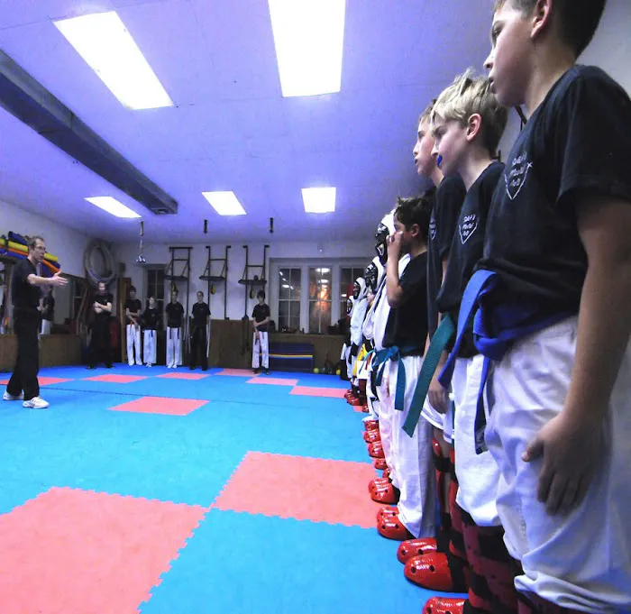 Salick's Karate Picture 4