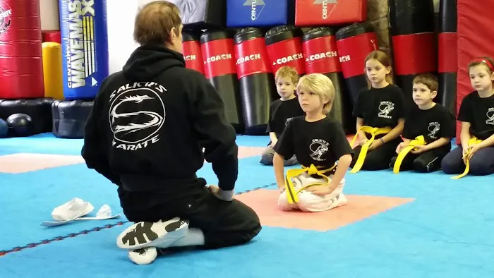 Salick's Karate Picture 3