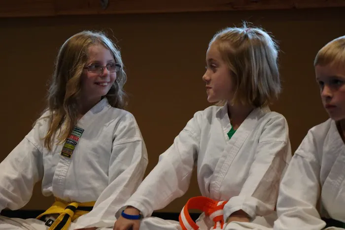 Karate America Oregon Picture 3