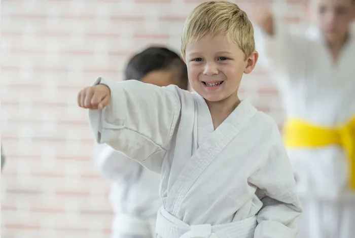 Karate America Oregon Picture 6