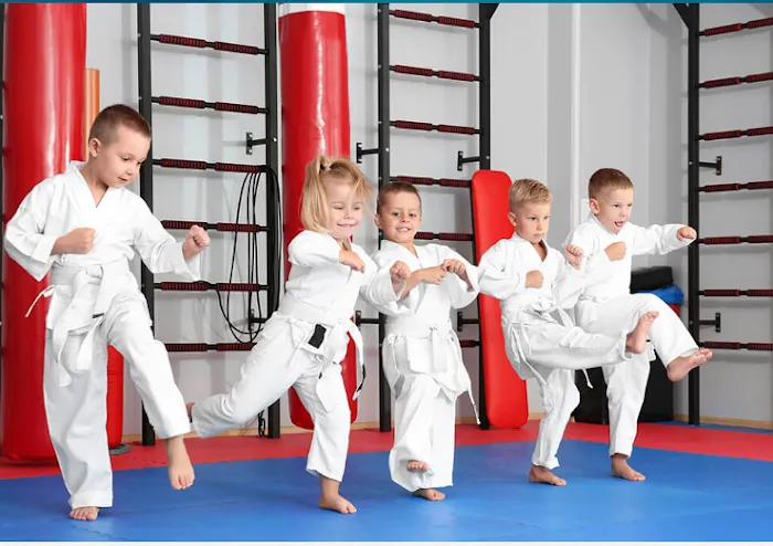 Karate America Oregon Picture 5