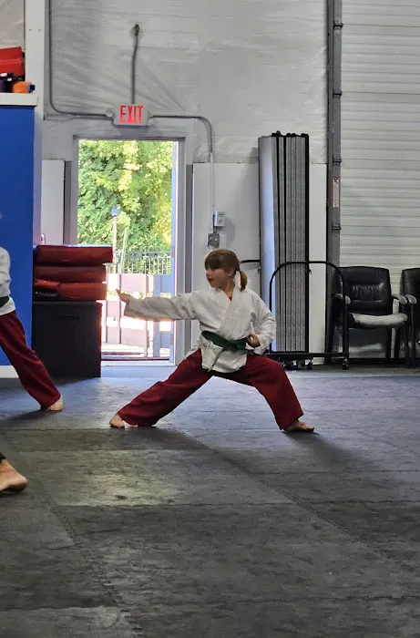 Inspire Martial Arts Picture 5