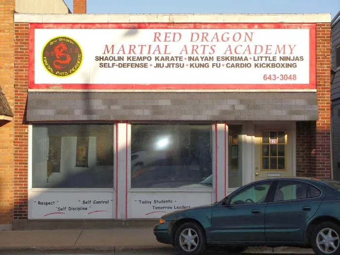 Red Dragon Martial Arts Academy Picture 3