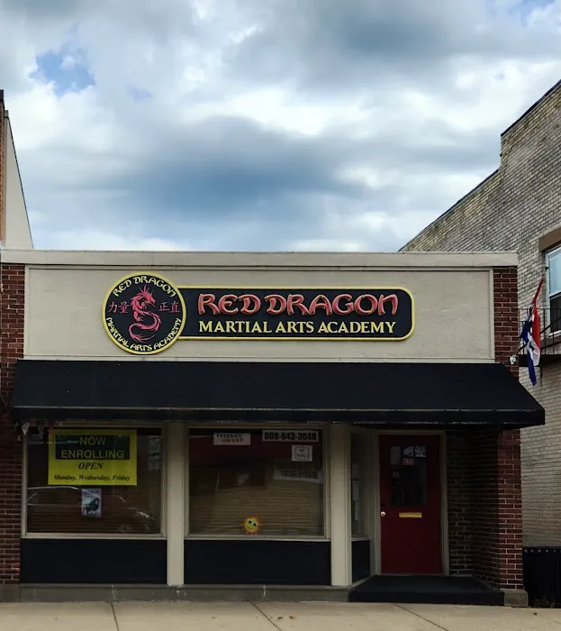 Red Dragon Martial Arts Academy Picture 1