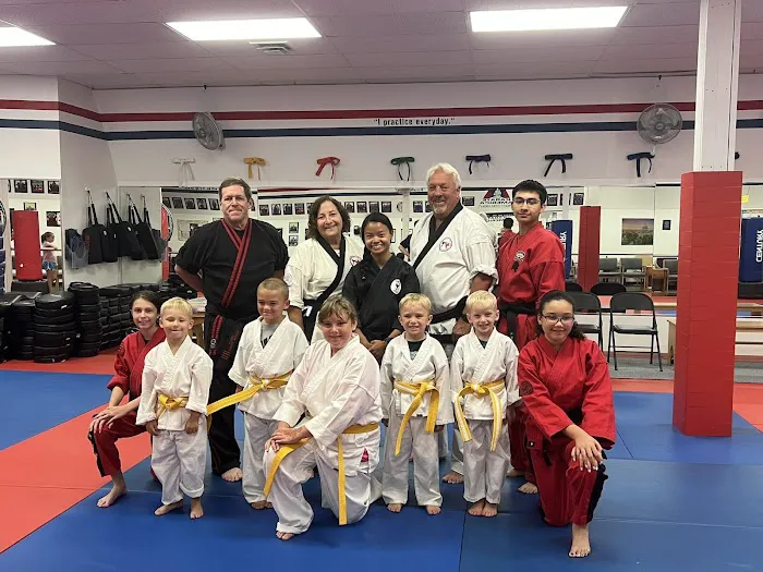 Karate America Picture 3