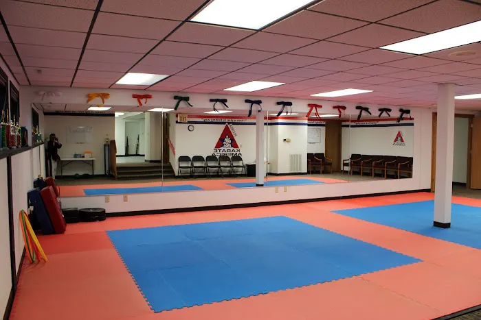 Karate America Picture 2