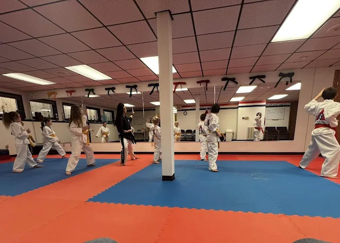 Karate America Picture 5