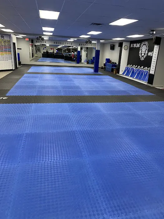 American Taekwondo Center Picture 3