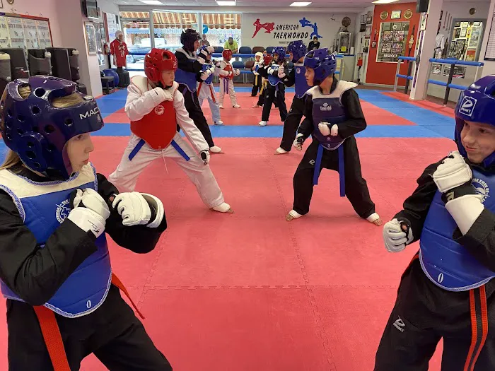 American Taekwondo Center Picture 2