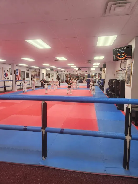 American Taekwondo Center Picture 1