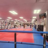 American Taekwondo Center ico