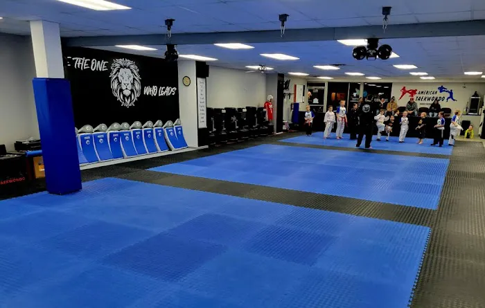 American Taekwondo Center Picture 4