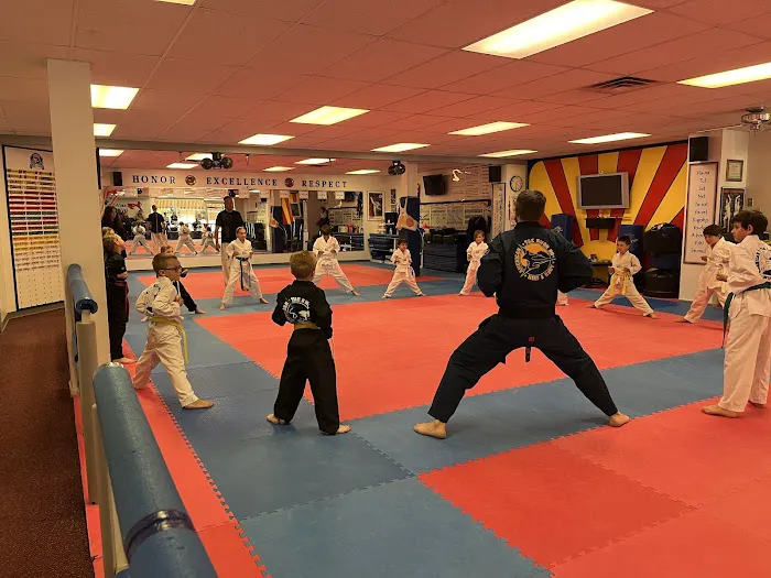 American Taekwondo Center Picture 6