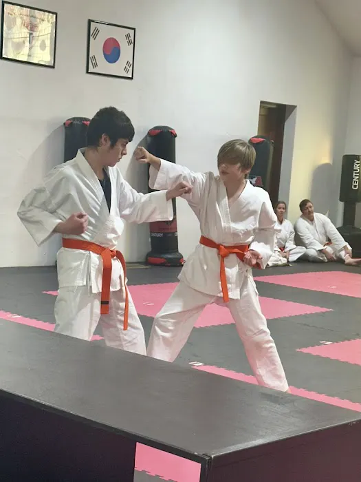 Integrity Martial Arts LLC Picture 2