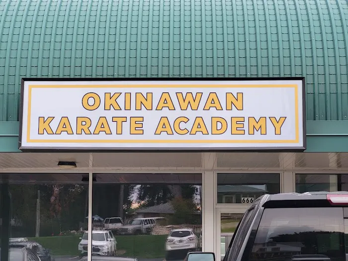 Okinawan Karate Academy Picture 2