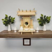 Okinawan Karate Academy ico